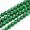 Synthetic Malachite Beads Strands G-T053-6mm-05-1