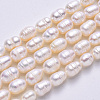 Natural Cultured Freshwater Pearl Beads Strands X-PEAR-S012-41B-2