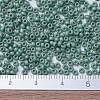 MIYUKI Round Rocailles Beads SEED-JP0008-RR2028-4