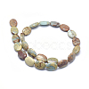 Natural Aqua Terra Jasper Beads Strands X-G-I213-04-13x18-2
