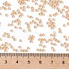 TOHO Round Seed Beads X-SEED-TR11-0301-4