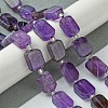 Natural Amethyst Beads Strands G-C098-A02-01-2
