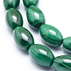 Natural Malachite Beads Strands G-D0011-09E-3