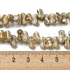 Natural Freshwater Shell Beads Strands SHEL-C005-03-4