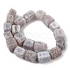 Natural Weathered Agate Beads Strands G-Q169-B04-01-3