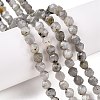 Natural Grey Labradorite Beads Strands G-T138-225-1