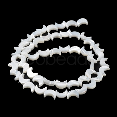 Natural Trochus Shell Beads Strands BSHE-P033-08-1