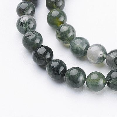 Natural Moss Agate Beads Strands GSR6mmC001-1