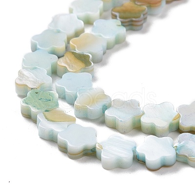 Natural Freshwater Shell Beads Strands SHEL-H002-03-1