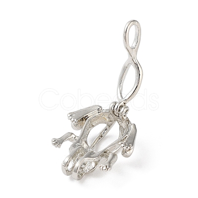 Alloy Bead Cage Pendants FIND-M012-01P-P-1