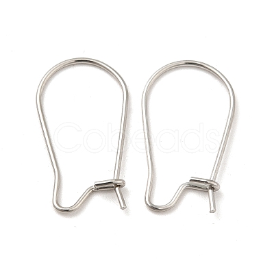 Tarnish Resistant 316 Surgical Stainless Steel Hoop Earrings Findings Kidney Ear Wires X-STAS-E009-6-1