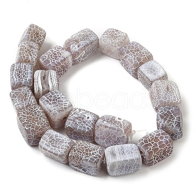 Natural Weathered Agate Beads Strands G-Q169-B04-01-1