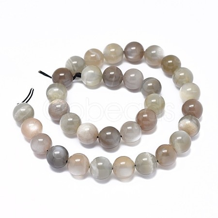 Natural Grey Moonstone Beads Strands G-F632-29-05-1