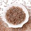 Baking Paint Electroplate Transparent Glass Seed Beads SEED-N006-07N-2