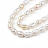 Natural Cultured Freshwater Pearl Beads Strands PEAR-N012-04B-4