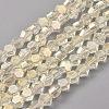 Electroplate Glass Beads Strands EGLA-L018-C-FR02-1