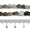 Natural Labradorite Beads Strands G-P497-01B-03-5