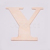 Unfinished Wood Shape WOOD-WH0109-01Y-2