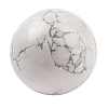 Natural Howlite Sphere Beads G-I367-05D-1