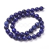 Natural Lapis Lazuli Beads Strands X-G-D840-38-10mm-2