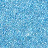 11/0 Grade A Transparent Glass Seed Beads X-SEED-N001-E-321-2