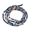 Natural Sodalite Beads Strands G-A097-A12-01-5