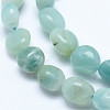 Natural Amazonite Beads Strands G-E483-53B-3