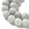 Natural Myanmar Jadeite Beads Strands G-L595-C01-03-4