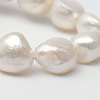 Oval Natural Cultured Freshwater Pearl Beads Strands PEAR-R015-29-3