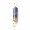Natural Sodalite Connector Charms PALLOY-JF01454-03-3