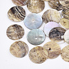 Natural Akoya Shell Beads SHEL-T012-44-1