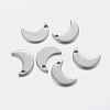 304 Stainless Steel Charms STAS-F159-40P-1