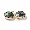 Natural Moss Agate Charms G-C023-04-3