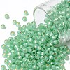 TOHO Round Seed Beads SEED-JPTR08-PF2103-1