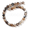 Natural Eye Agate Beads Strands G-NH0019-F02-01-3