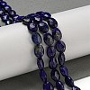 Natural Lapis Lazuli Beads Strands G-P544-D04-01-2