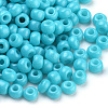 Baking Paint Glass Seed Beads SEED-Q025-3mm-L09-2