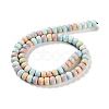 Natural Rainbow Alashan Agate Beads Strands G-NH0022-N01-01-3