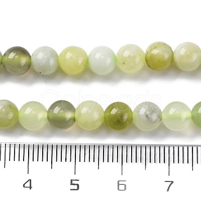 Natural New Jade Round Beads Strands G-O039-16-6mm-02-1