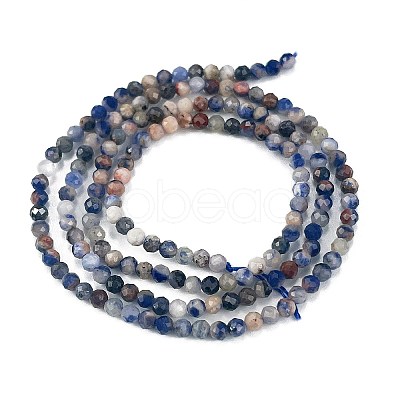 Natural Sodalite Beads Strands G-A097-A12-01-1