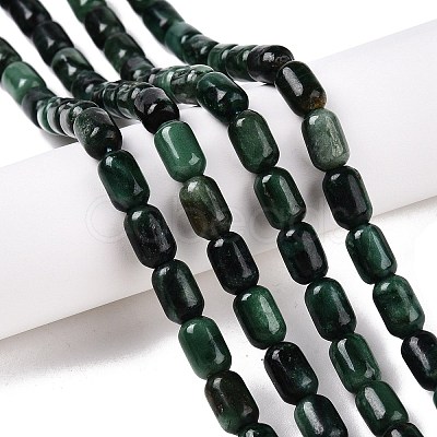 Natural Fuchsite Beads Strands G-G980-34A-1