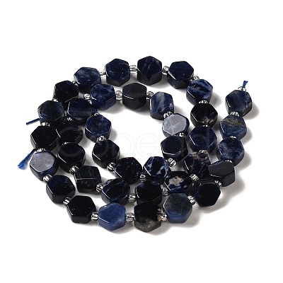 Natural Sodalite Beads Strands G-P534-A11-02-1