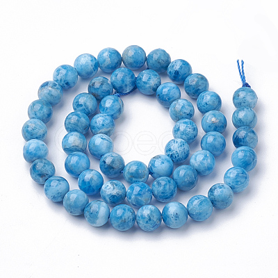 Natural Gemstone Beads Strands G-Q961-20-8mm-1