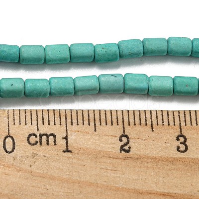 Dyed Synthetic Turquoise Beads Strands G-G075-A02-01-1