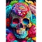 Halloween Skull Elements DIY Diamond Painting Kits, Including Resin Rhinestones, Diamond Sticky Pen, Tray Plate and Glue Clay, Colorful, 400x300mm