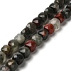 Natural African Bloodstone Beads Strands G-H078-C26-01-1