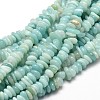 Natural Amazonite Chip Beads Strands X-G-E271-107-1