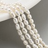 Natural Cultured Freshwater Pearl Beads Strands PEAR-P062-01F-2