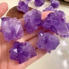 Natural Rough Raw Amethyst Display Decorations G-PW0007-157-3