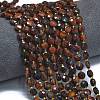 Dyed Natural Red Tiger Eye Beads Strands G-K389-B45-01-2